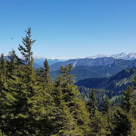 Appartement Alpina 454
