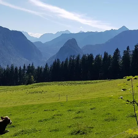 Appartement Alpina 454