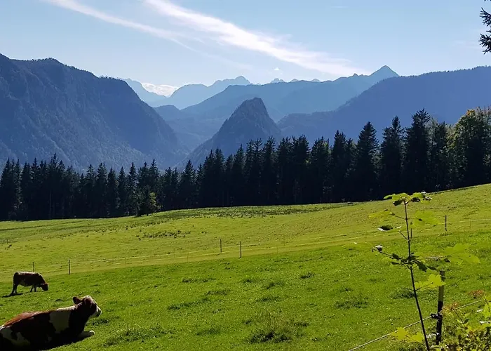 Appartement Alpina 454